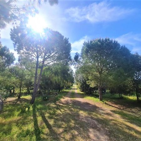 Il Lentischio Del Sinis Villa Putzu Idu Exteriör bild