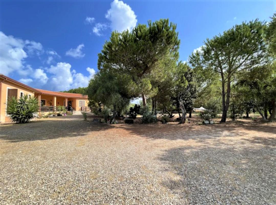 Il Lentischio Del Sinis Villa Putzu Idu Exteriör bild
